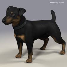 Jack L Terrier Fur 3d Model Terrier 3d Model Dogs