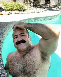 Pin De Albralhralhralhr Em Luke Mills Homens Grisalhos Homens Grisalho