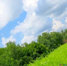 Maybe you would like to learn more about one of these? Download Free Picture Image For Profile Picture Wallpapers Nature On Cc By License Free Image Stock Torange Biz Fx 18852