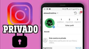 Garena free fire es uno de los juegos tipo battle royal con más suscriptores a nivel mundial, si has sido baneado por error o por tu culpa, es necesario que sepas que hacer con tu cuenta de free fire suspendida. Como Ver Una Cuenta Privada De Instagram