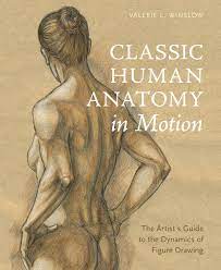 Learn how to draw human anatomy for beginners with artist and author, jeff mellem. Classic Human Anatomy In Motion The Artist S Guide To The Dynamics Of Figure Drawing Winslow Valerie L 9780770434144 Amazon Com Books