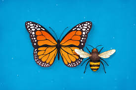 Check spelling or type a new query. What Plants Help Bees And Butterflies Los Angeles Times