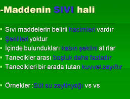 Sivi Halin Ozellikleri 4 Sinif Fen Egitim Sinif