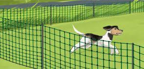 Unsichtbarer Hundezaun Hundezaun Hunde Zaun