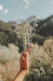 One potential drawback of photo booths is that it can sometimes be hard to find an optimal place to set up a space to snap pics. 41 Trendy Ideas For Plants Aesthetic Vintage Aesthetic Wallpapers Aesthetic Photography Plant Aesthetic