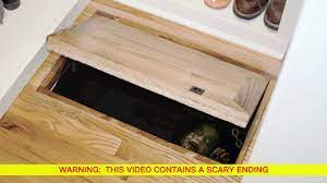 (these include a blue thing, a spider and a skull). Building A Trapdoor To The Basement Youtube