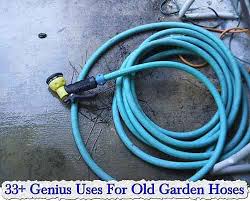 33 Genius Uses For Old Garden Hoses Garden Hoses Garden Garden Hose