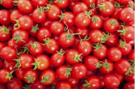 Benih tomat biromaru f1 isi : Benih Tomato Cherry Lycopersicon Esculentum 200 Biji Benih Lycopersicon Esculentum Mill Garden Seeds Market Penghantaran Percuma