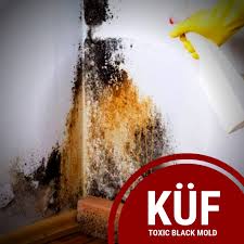 Daha sonra çamaşır makinasının deterjan bölümüne sadece biraz çamaşır suyu katarak makinada yıkayın. Kuf Sagliga Zarar Verir Mi Kuften Nasil Korunulur Kuf Nasil Temizlenir Glutensiz Beslenme Ve Yemek Tarifleri