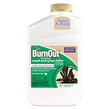 This is an all natural fruit tree spray. Bonide Burnout Weed And Grass Killer