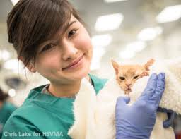 The "Wow" Factor: 2014 World Spay Day Clinic at the University of Florida