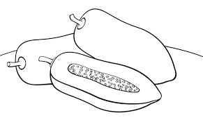 Sketsa gambar sapi untuk belajar mewarnai anak tk. Gambar Mewarnai Buah Pepaya Untuk Anak Paud Dan Tk