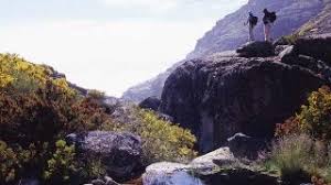 Sobre a estrela desde 1937 a estrela está presente na memória de quem é ou foi criança anos 40 na década de 40, a estrela apresentou o primeiro brinquedo de madeira com movimento e som. Serra Da Estrela Www Visitportugal Com