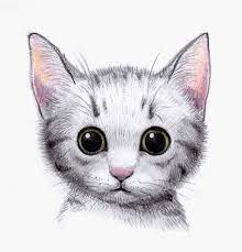 Dénicher le meilleur prix dessin mignon chat est votre rêve ? 1001 Exemples Et Tutoriels Comment Dessiner Un Chat
