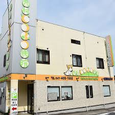 八千代市の動物病院なら西村動物病院 千葉夜間救急24時間対応