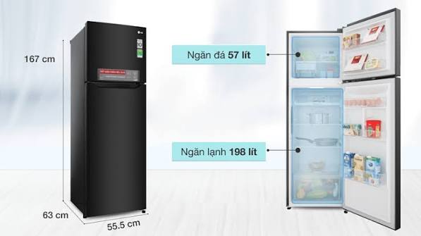 Nên mua tủ lạnh ngăn đá trên hay dưới? So sánh chi tiết giúp bạn chọn đúng