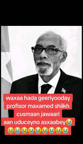 Fadumo Ibrahim (@fadumo.ibrahim1)