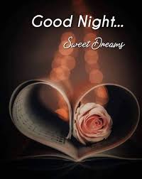 We did not find results for: 35 Good Night Images With Beautiful Quotes Boom Sumo