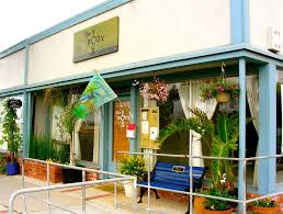 Maybe you would like to learn more about one of these? The Yoga Body Oceanside Home Facebook