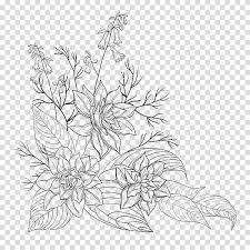 Select from 35450 printable crafts of cartoons, nature, animals, bible and many more. White Lily Flower Drawing Flower Bouquet Line Art Leaf Plant Coloring Book Pedicel Transparent Background Png Clipart Hiclipart