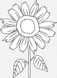 Makna jenis bunga untuk mural hitam putih dengan motif bunga. Hitam Dan Putih Coloring Pages For Kids Merangkai Bunga Putih Komputer Png Pngwing