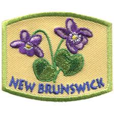 When do violets bloom in illinois and new jersey? Provincial Flower New Brunswick Iron On Embroidered Patch Set By E Patches Crests