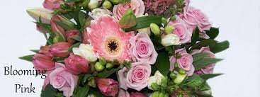 Auckland's florists that deliver—aka our city's professional day makers—are on call to do just that. Auckland S Leading Local Cbd Florist Same Day Delivery Service