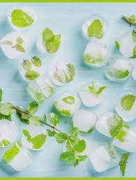 Frische pfefferminze darf in keinem mojioto fehlen [foto: 5 Einfache Ideen Wie Man Krauter Einfrieren Und Haltbar Machen Kann Foodblog Rezepte Furs Fruhstuck Mittag Und Abendbrot