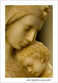 True Devotion to the Holy Virgin