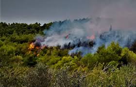 Άμεση ενημέρωση για όλες τις εξελίξεις. Fwtia Twra Sth Ritswna Eyboias Enisxysh Pyrosbestikwn Dynamewn Sta Me8ana