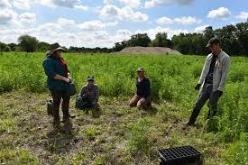 Maybe you would like to learn more about one of these? Midewin National Tallgrass Prairie Resource Management