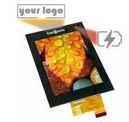 LCD Standard and Graphic TFT Displays Monochrome LCD Panel