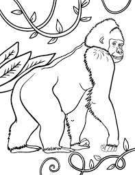 High quality free printable coloring, drawing, painting pages here for boys, girls, children. Free Gorilla Coloring Page