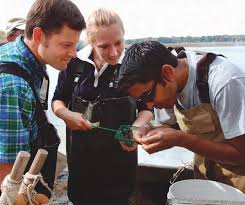 Stewards by DeniseSpranger