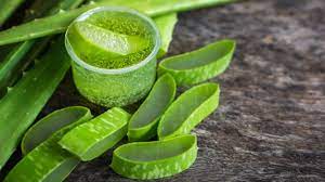Cách sử dụng gel nha đam
