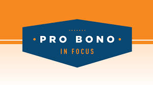 2022 Pro Bono Publico Honor Roll