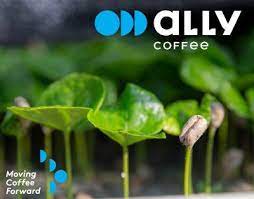 Everything You Need To Know About Single Origin Coffees Perfect Daily Grind Speciality Coffee Shop Speciality Coffee Green Coffee