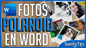 Encuadre de la foto medida 7,5x7,5cm nosotros realizamos el corte formato cuadrado sin costo a criterio. Fotos Polaroid En Word Sandytips En 2021 Como Hacer Fotos Polaroid Fotos Polaroid Crear Fotos