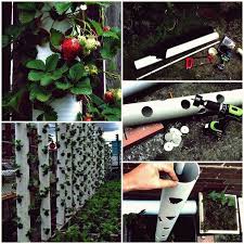 Kreative Ideen Diy Erdbeerturm Mit Reservoir Erdbeerturm Haus Und Garten Garten