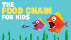 The Food Chain for Kids | What is a food chain? | Come learn about ...