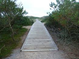 Ich glaube nicht, dass schweden die sache sehr ernst. Goteborg Und Strand Tylosand