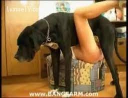 Estamos diariamente trabalhando em nossos servidores para entregar nossos filmes o mais rápido possível para todos os usuários que acessar nosso conteúdo em seu site. Puta Rasga A Buceta Com Rola Monstra Do Cachorro Preto Gigante Pornozinhos Videos De Incesto Zoofilia Videos De Zoofilia