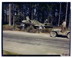 Image result for Natural Yellow 1999 Fleet