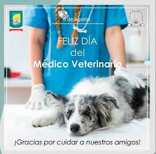 B sm (rel) father, saint. Medico Veterinario Colegio Esteban Echeverria