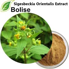 Image result for Sigesbeckia