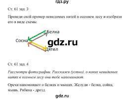 окружающий мир 2 класс плешаков новицкая рабочая тетрадь решебник Gdz Chast 1 Stranica 61 Okruzhayushij Mir 2 Klass Rabochaya Tetrad Pleshakov Novickaya