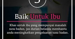 ~ berfungsi sebagai anti tumor. Khasiat Durian Belanda Untuk Ibu Hamil Wom My Durian Health Women Online