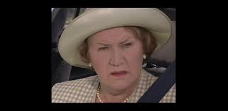 Hyacinth Encounters a Rowan Redneck 🪻