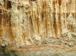 Test your knowledge and play our quizzes today! What To Do If Your Asbestos Testing In Anaheim Ca Turns Out Positive H2 Environmental H2 Environmental Consulting Services