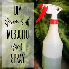 On a hot summer day, outdoor activities can be ruined by mosquitoes. 1 Epsom Salt Diy Mosquito Yard Spray Lost In Float